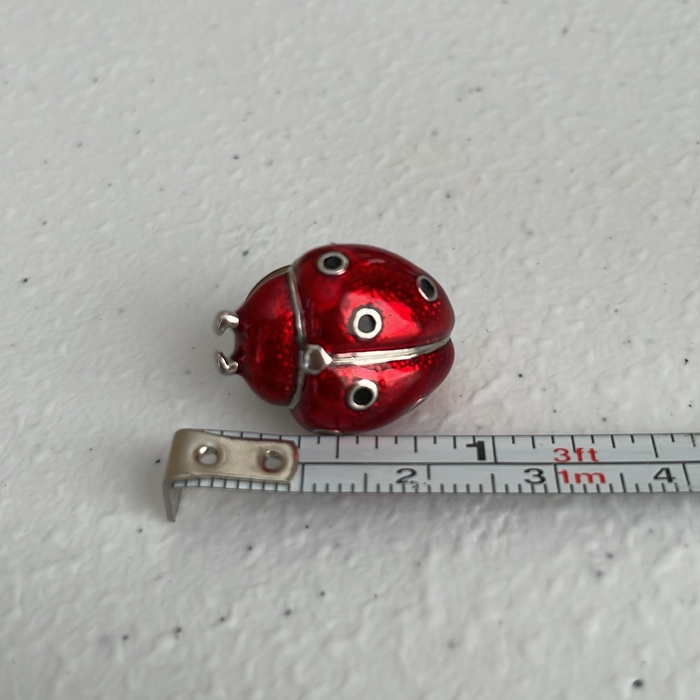 Mini Ladybug Themed‎ Pin